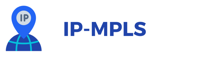 IP/MPLS Service